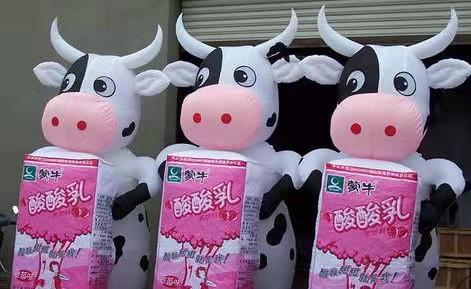 普安牛奶厂广告气模